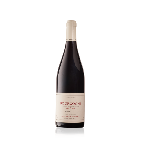 Domaine Fagot Bourgogne Rouge "Les Riaux" 2021
