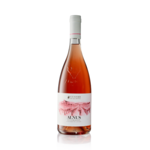 I Custodi "Alnus" Etna Rosato 2022