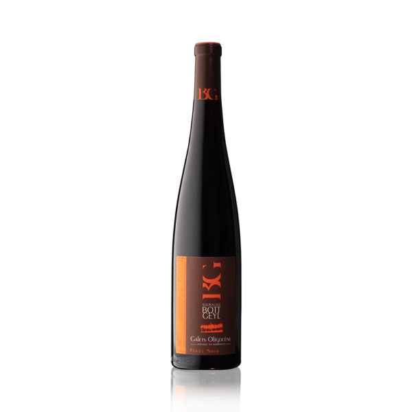 Domaine Bott-Geyl Pinot Noir "Galets Oligocene" 2019