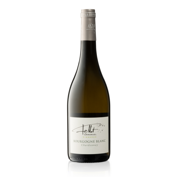 Emmanuel Fellot Bourgogne Blanc 2022