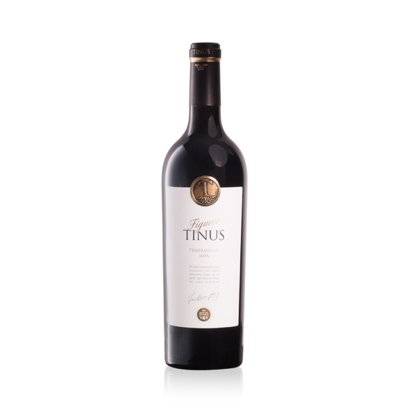 Figuero Tinus (OWC) 2019