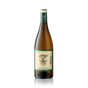 Bodegas Hidalgo La Gitana Las 30 del Cuadrado Blanc 2018