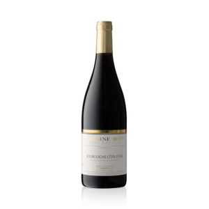 Domaine Jean-Charles Rion Bourgogne Cote D'Or 2021