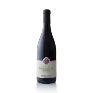 Pascale Rion-Delhautal Bourgogne Pinot Noir "Cote d'Or" 2022