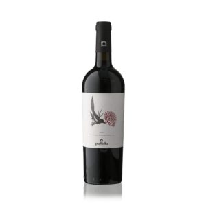 Graffetta Syrah 2022