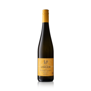 Weingut Petra Unger "Ried Hinters Kirchl" Erste Lage Reserve Riesling 2023