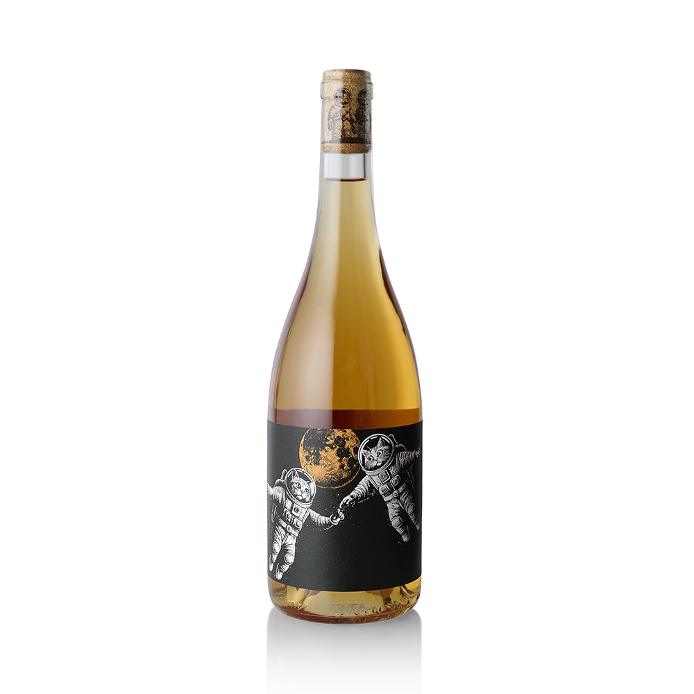 Felicette Wine First Contact, Orange Wine 2025